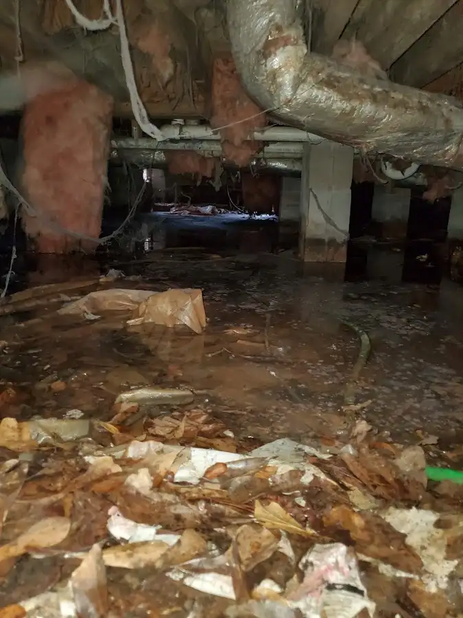 Crawl space flood assessment for Leak Detection & Repair in Key West